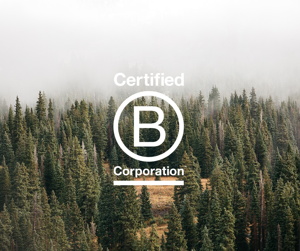 image: a forest scene with the B-corp logo