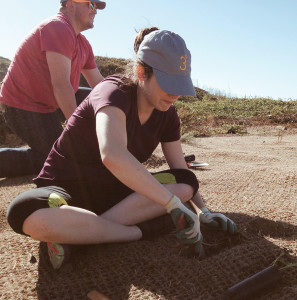 3Degrees' San Francisco team volunteers with Golden Gate National Parks