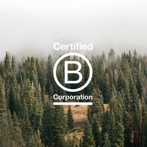 B corp logo on image