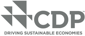 Driving Sustainable Economies logo