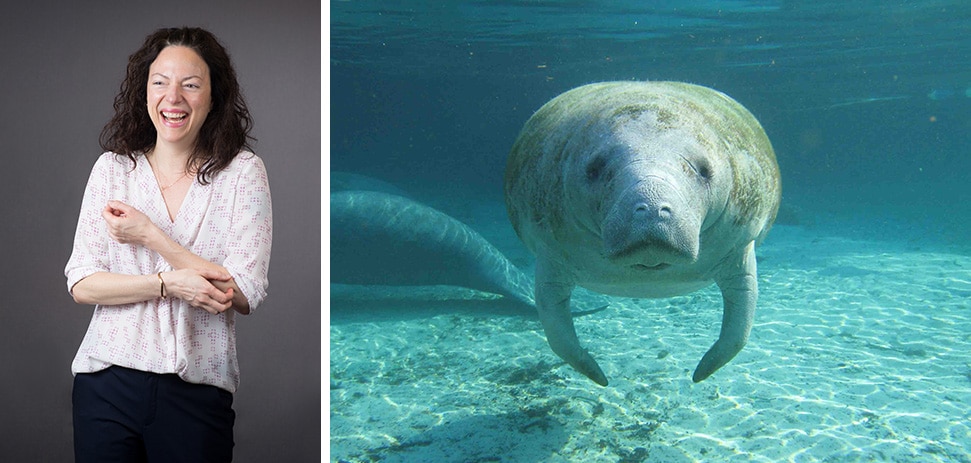Leslie from 3Degrees knew she wanted to help protect animals when she handfed a manatee when she was 15