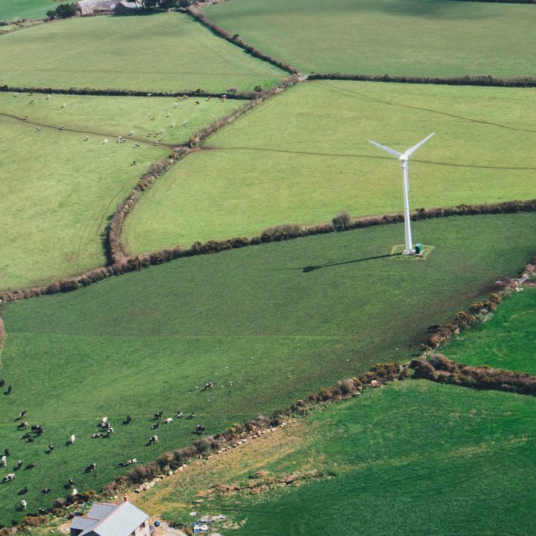lone wind turbine on pasture