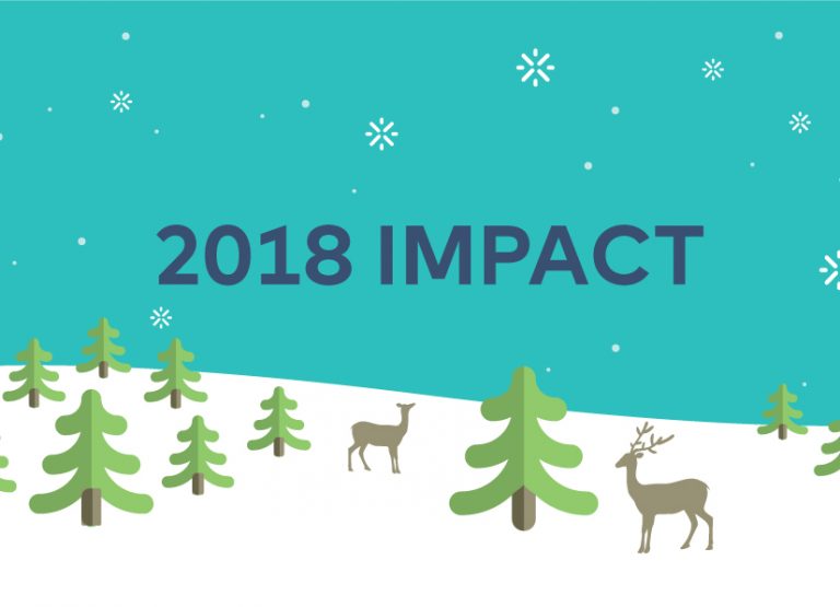 banner-2018-impact