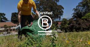 B Corp Report 3Degrees