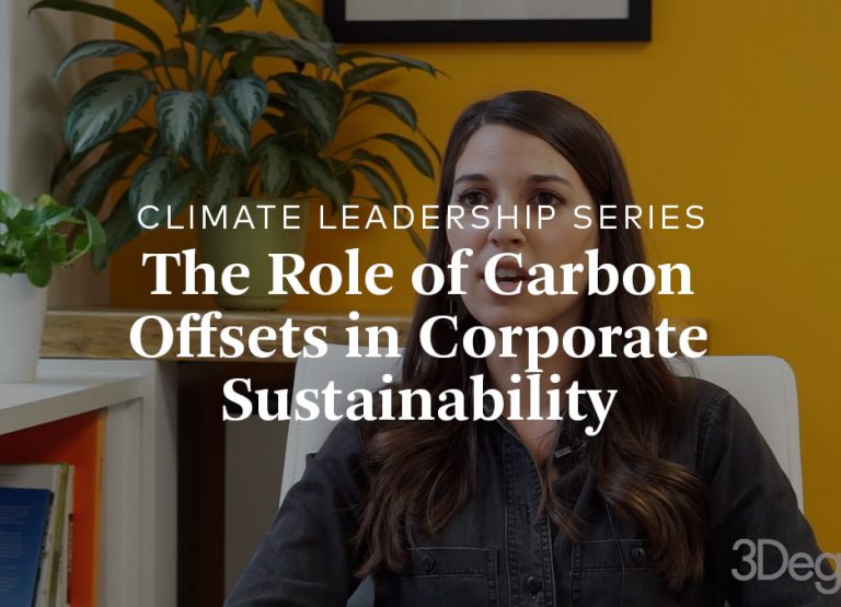 The role of carbon offsets in corporate sustainability