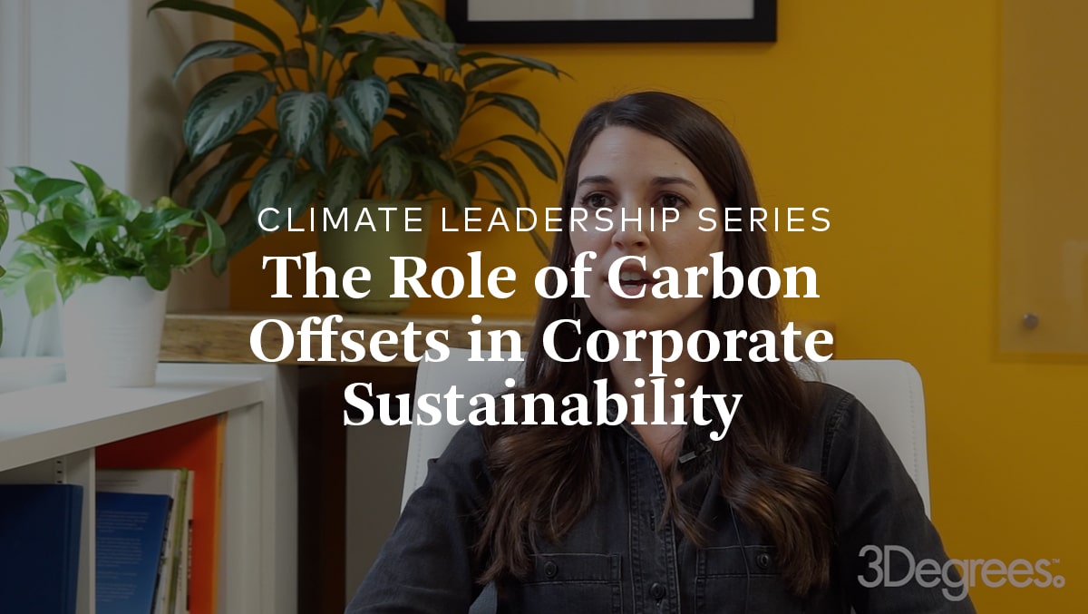 The role of carbon offsets in corporate sustainability