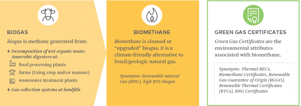 BIOGAS Biogas is methane generated from: Decomposition of wet organic waste. Anaerobic digesters at: Food processing plants Farms (using crop and/or manure) Wastewater treatment plants Gas collection systems at landfills BIOMETHANE Biomethane is cleaned or “upgraded” biogas, it is a climate-friendly alternative to fossil/geologic natural gas. Synonyms: Renewable natural Gas (RNG), high BTU biogas BIOMETHANE CERTIFICATES Biomethane Certificates are the environmental attributes associated with Biomethane. Synonyms: Thermal RECs, Biomethan Certificates, Renewable Gas Guarantees of Origin (RGGO), Renewable Thermal Certificates (RTCs), RNG Certificates 