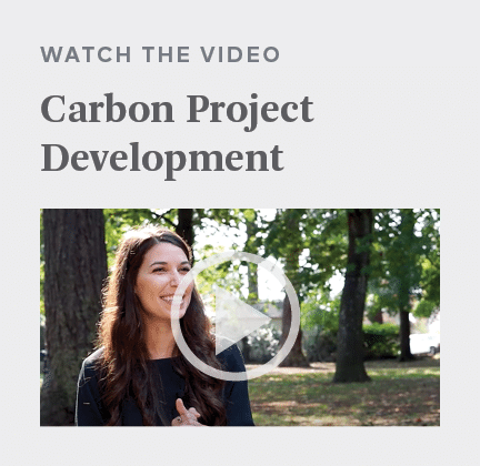 Carbon Project Development video