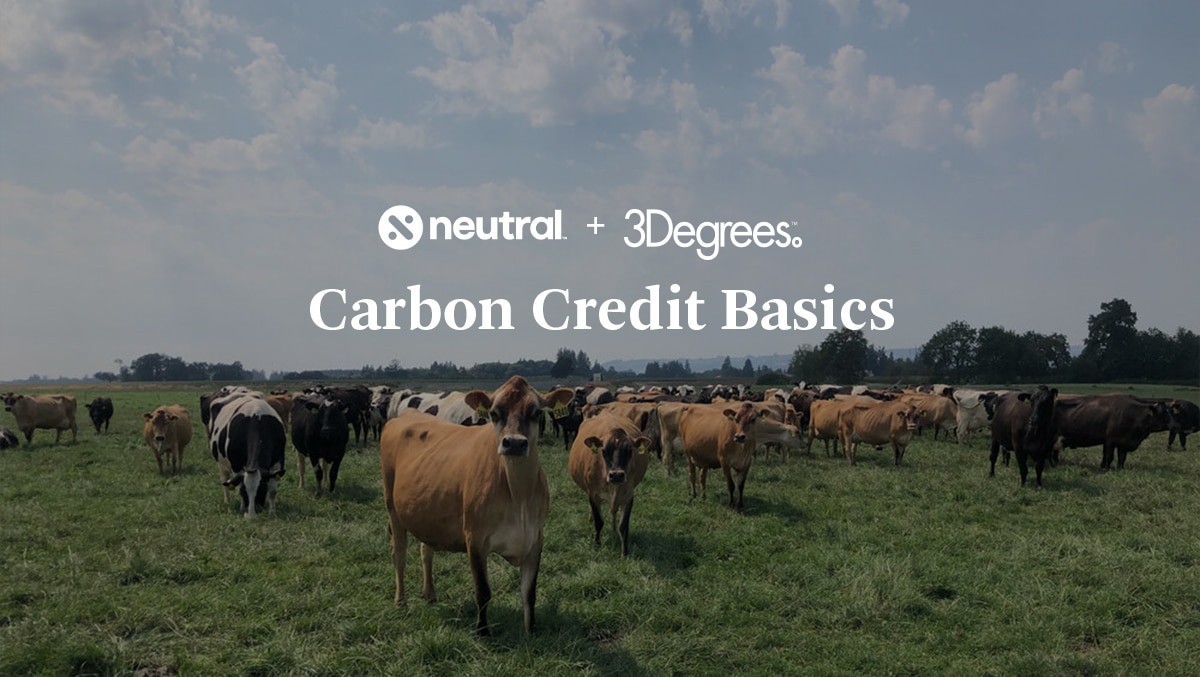 carbon credit basics