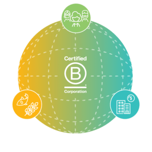 Greenly, Certified B Corp