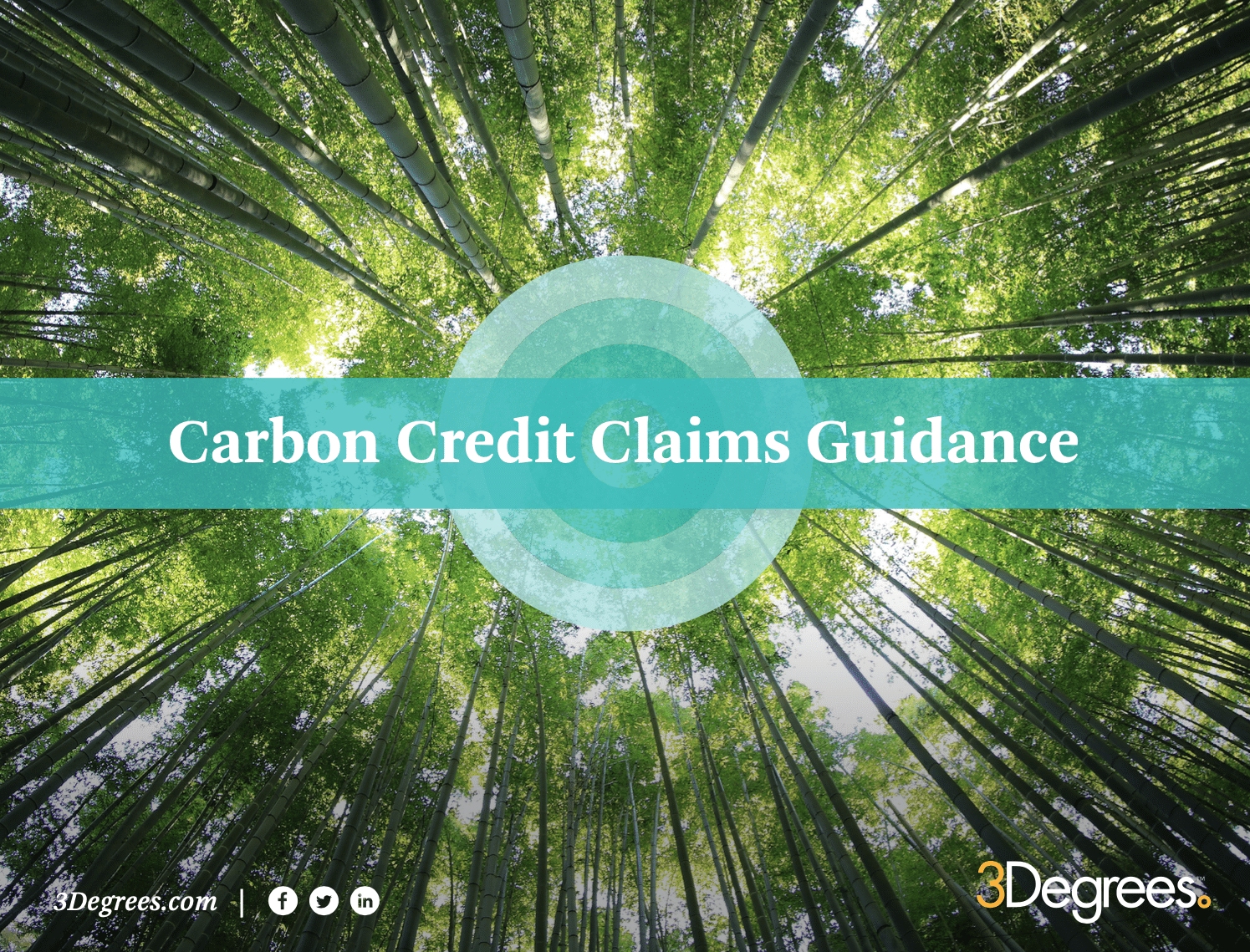 Carbon Credit Guidance
