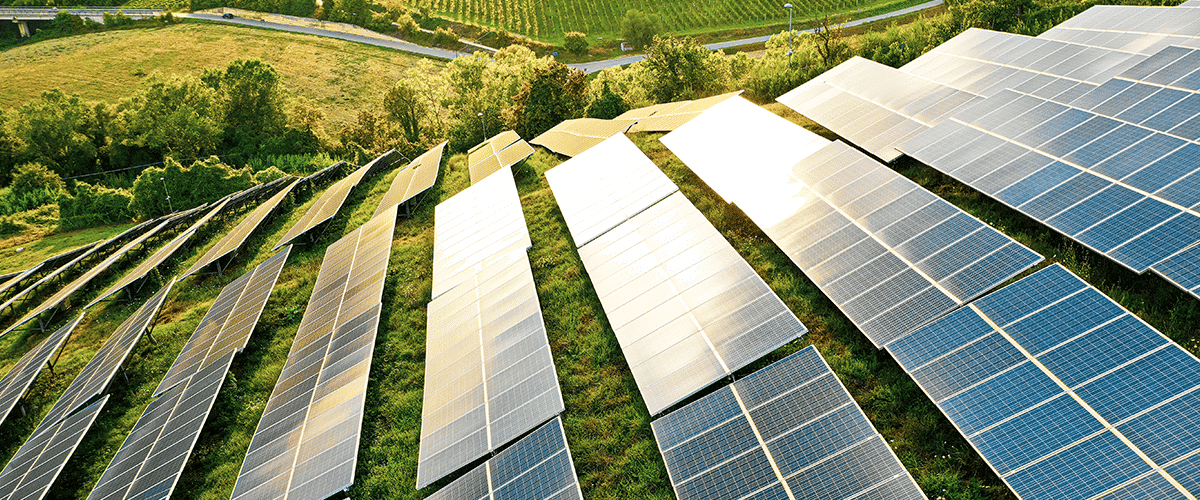 Solar farm with sun shining down