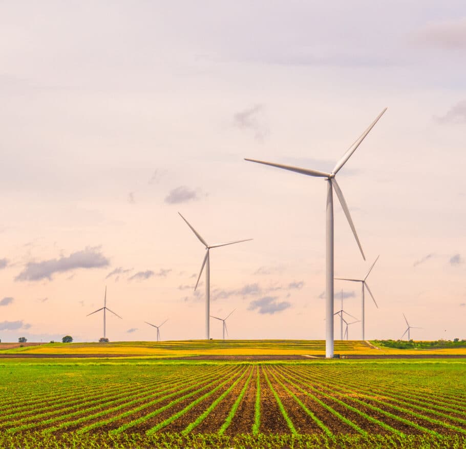 Wind renewable energy project