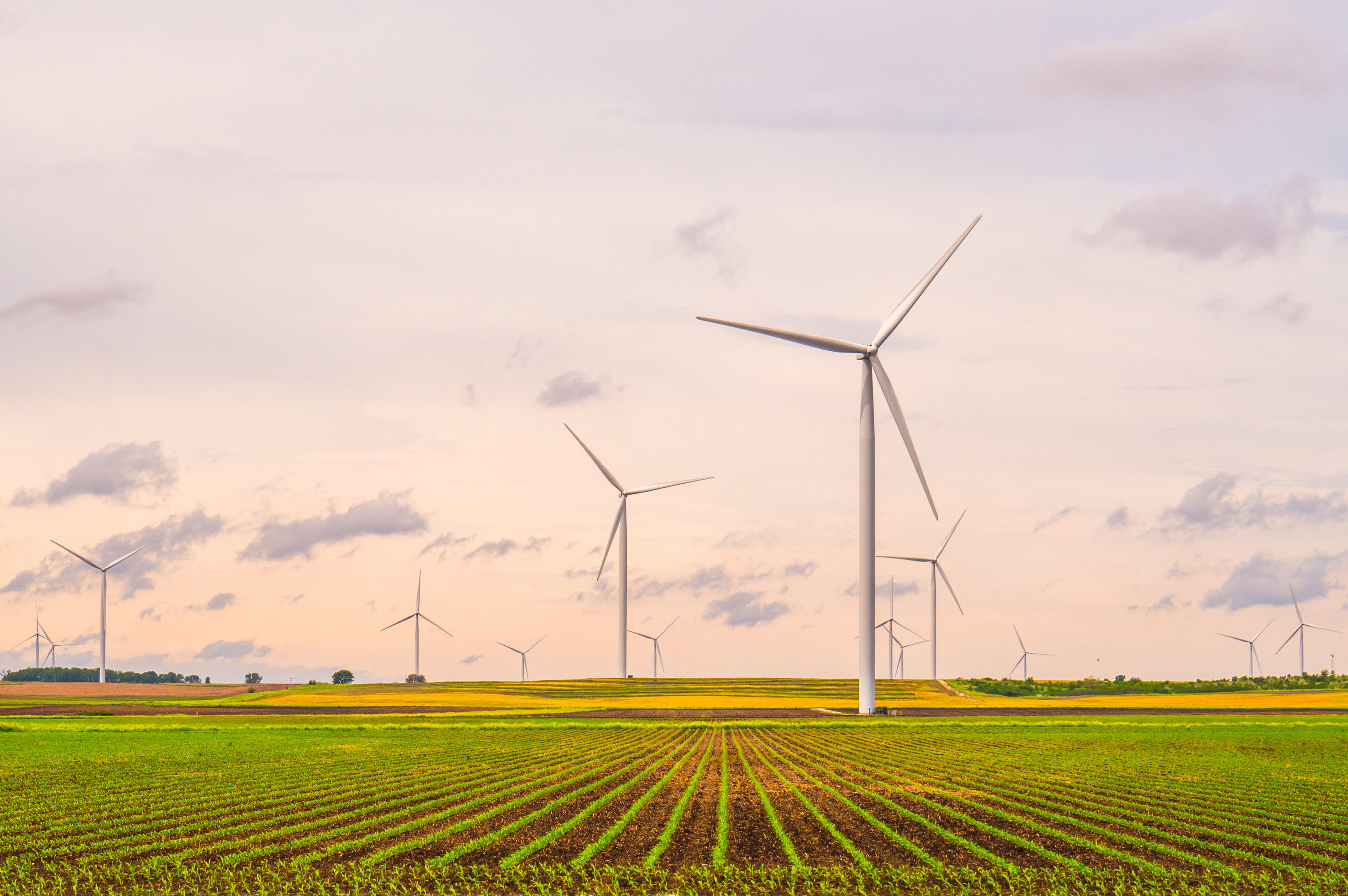 Wind renewable energy project
