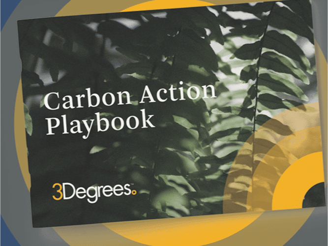 Carbon Action Playbook