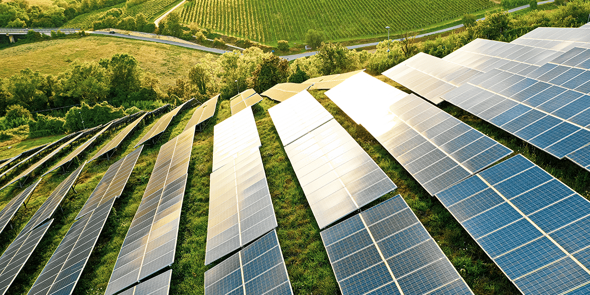 Solar farm with sun shining down