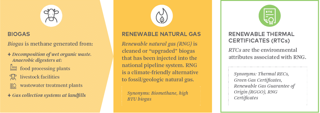 BIOGAS Biogas is methane generated from: Decomposition of wet organic waste. Anaerobic digesters at: Food processing plants Livestock facilities Wastewater treatment plants Gas collection systems at landfills RENEWABLE NATURAL GAS Renewable natural gas (RNG) is cleaned or “upgraded” biogas that has been injected into the national pipeline system. RNG is a climate-friendly alternative to fossil/geologic natural gas. Synonyms: biomethane, high BTU biogas RENEWABLE THERMAL CERTIFICATES (RTCs) RTCs are the environmental attributes associated with RNG. Synonyms: Thermal RECs, Green Gas Certificates, Renewable Gas Guarantees of Origin (RGGO), RNG Certificates