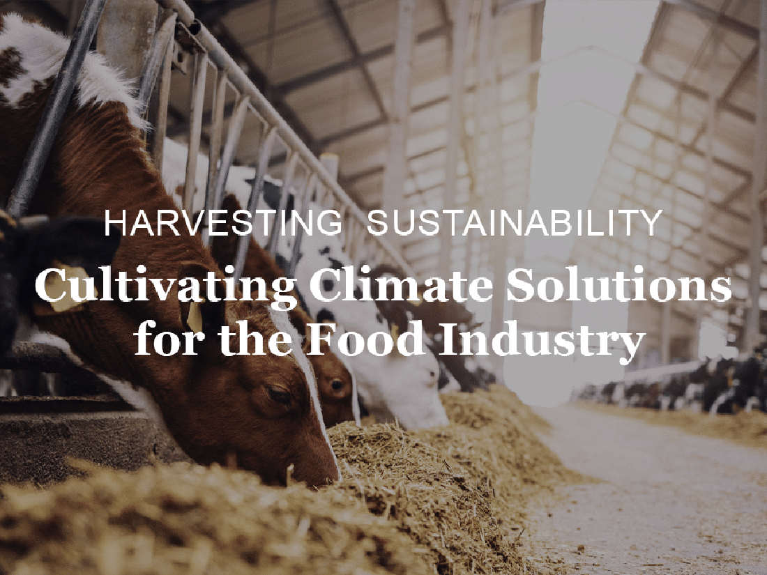 Cultivating Climate Solutions for F&B industry image