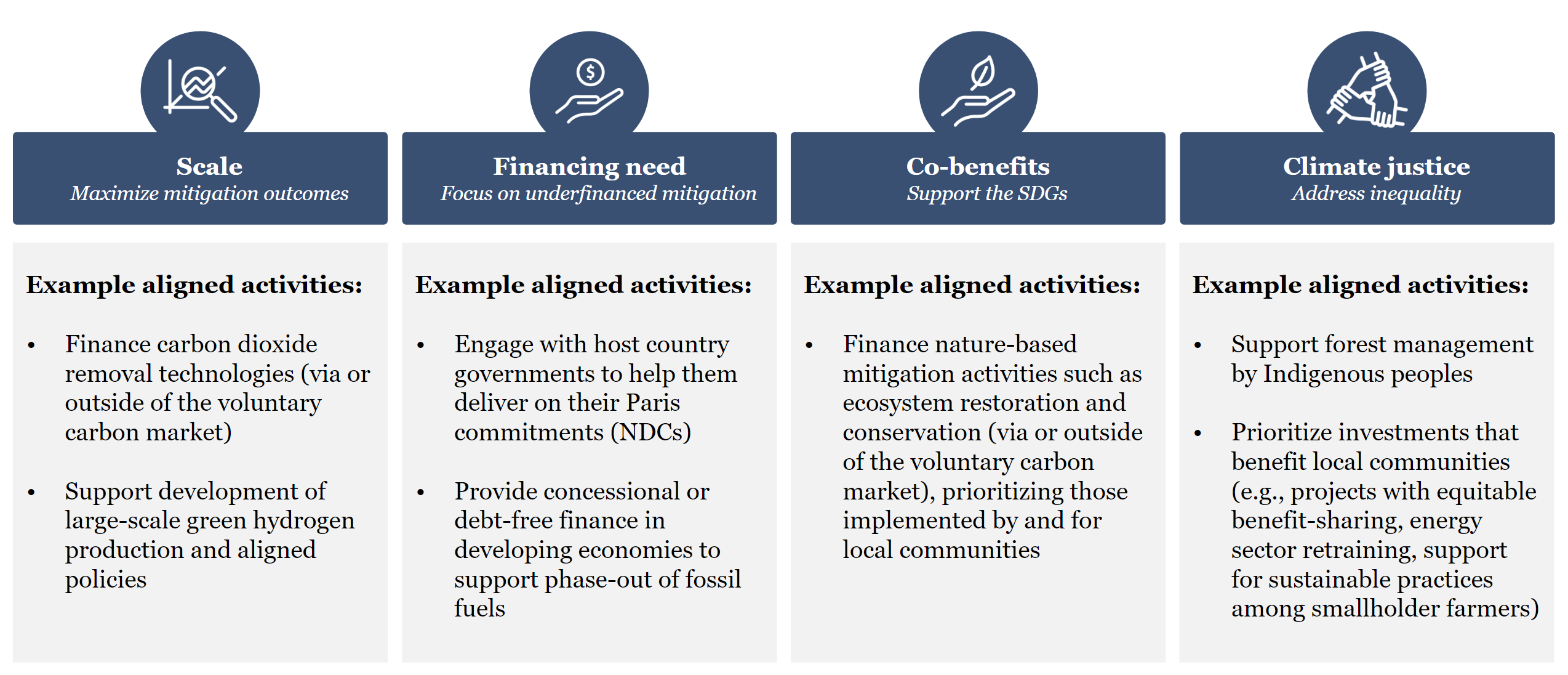 Principles to inform SBTi's BVCM portfolio design