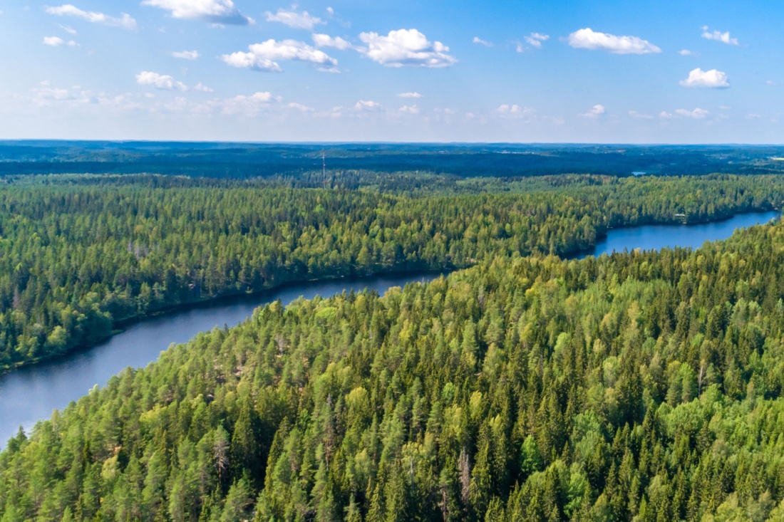 3Degrees clean air, blue skies, forest of trees