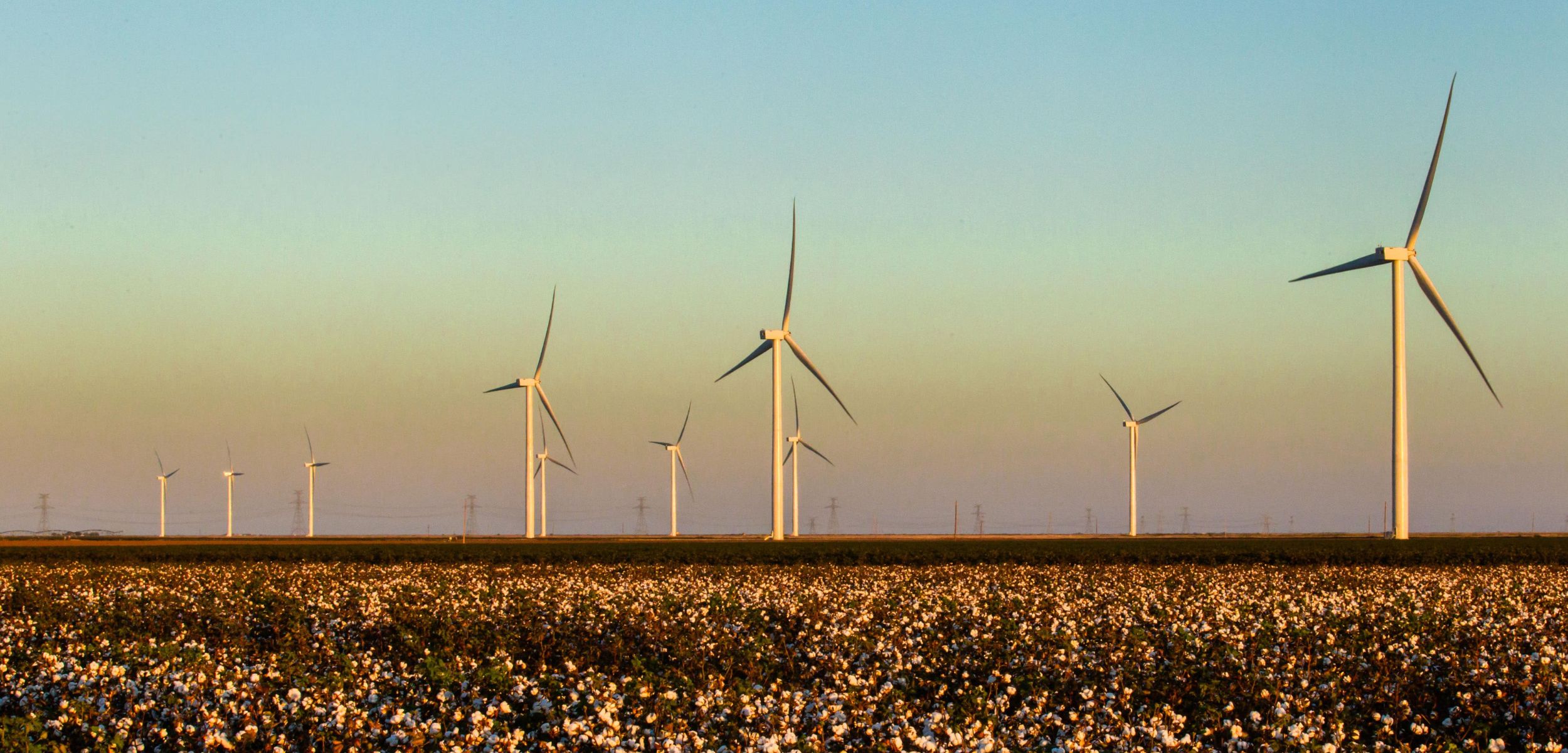 Old Settler wind farm