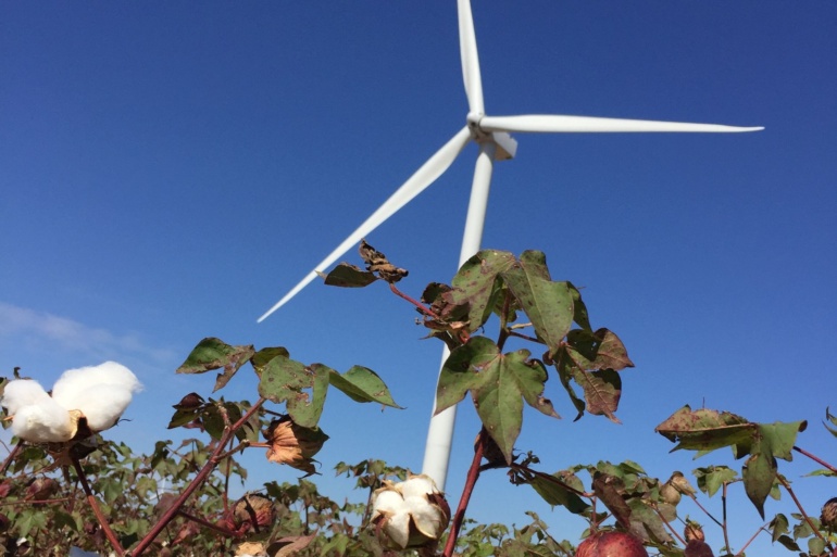 Old Settler wind renewable energy farm