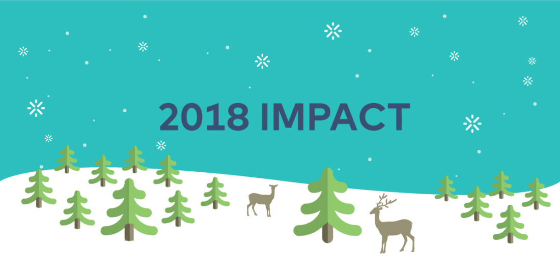 banner-2018-impact