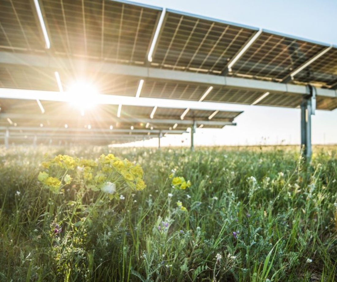 solar panels in field