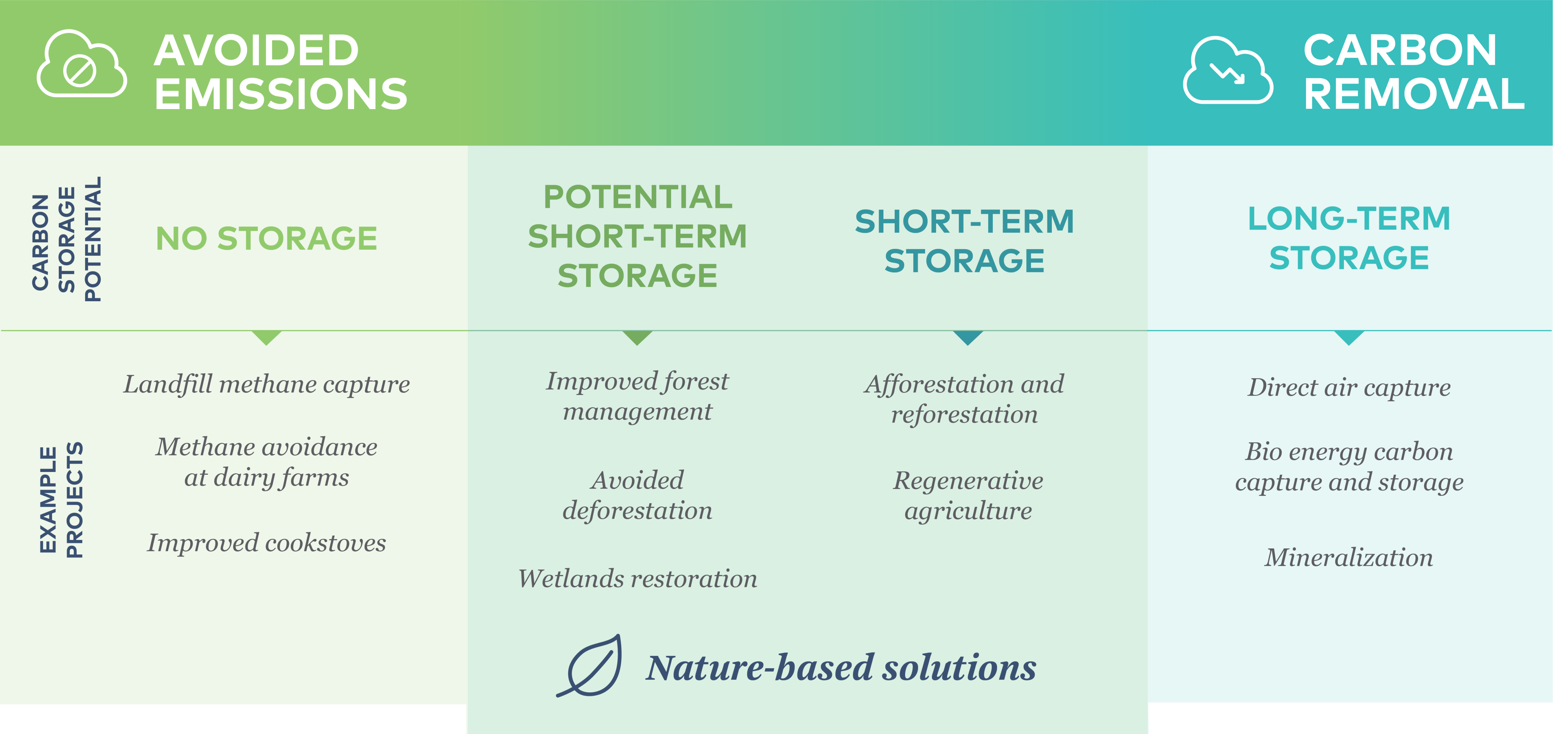 Carbon Project Type infographic