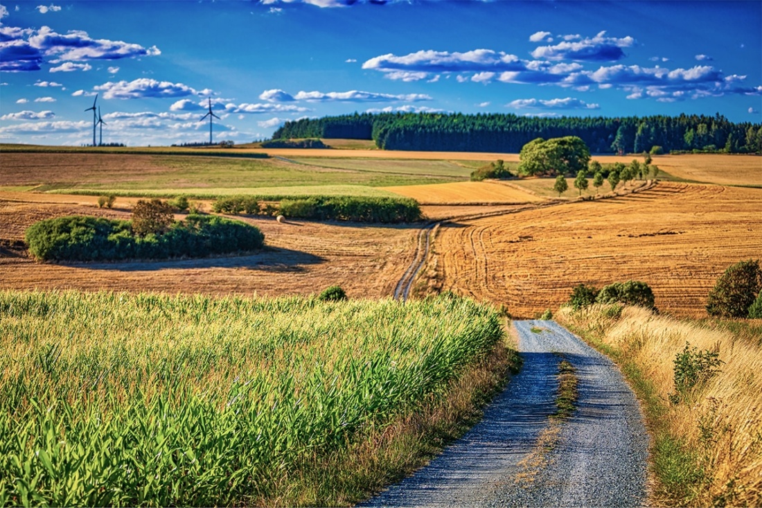 field with distant wind turbines