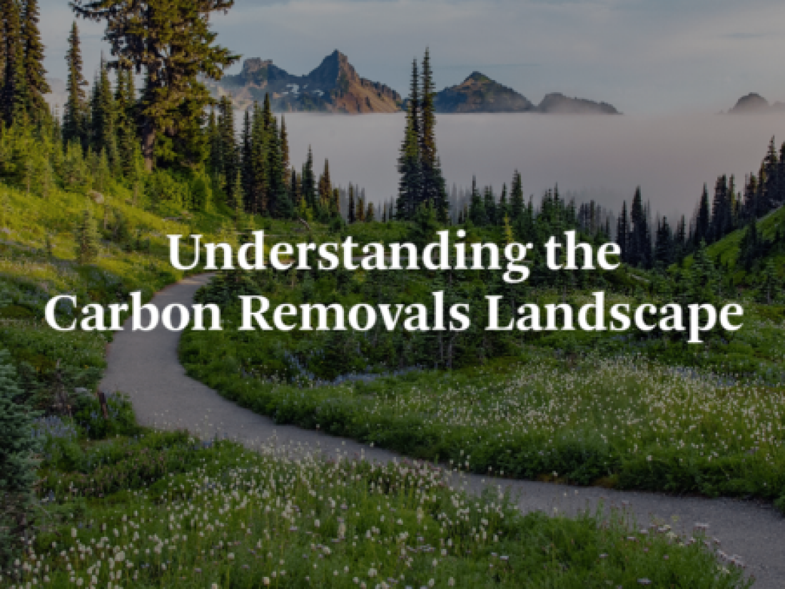 carbon removal white paper