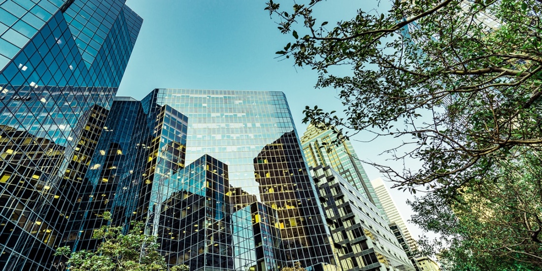 corporate buildings among trees