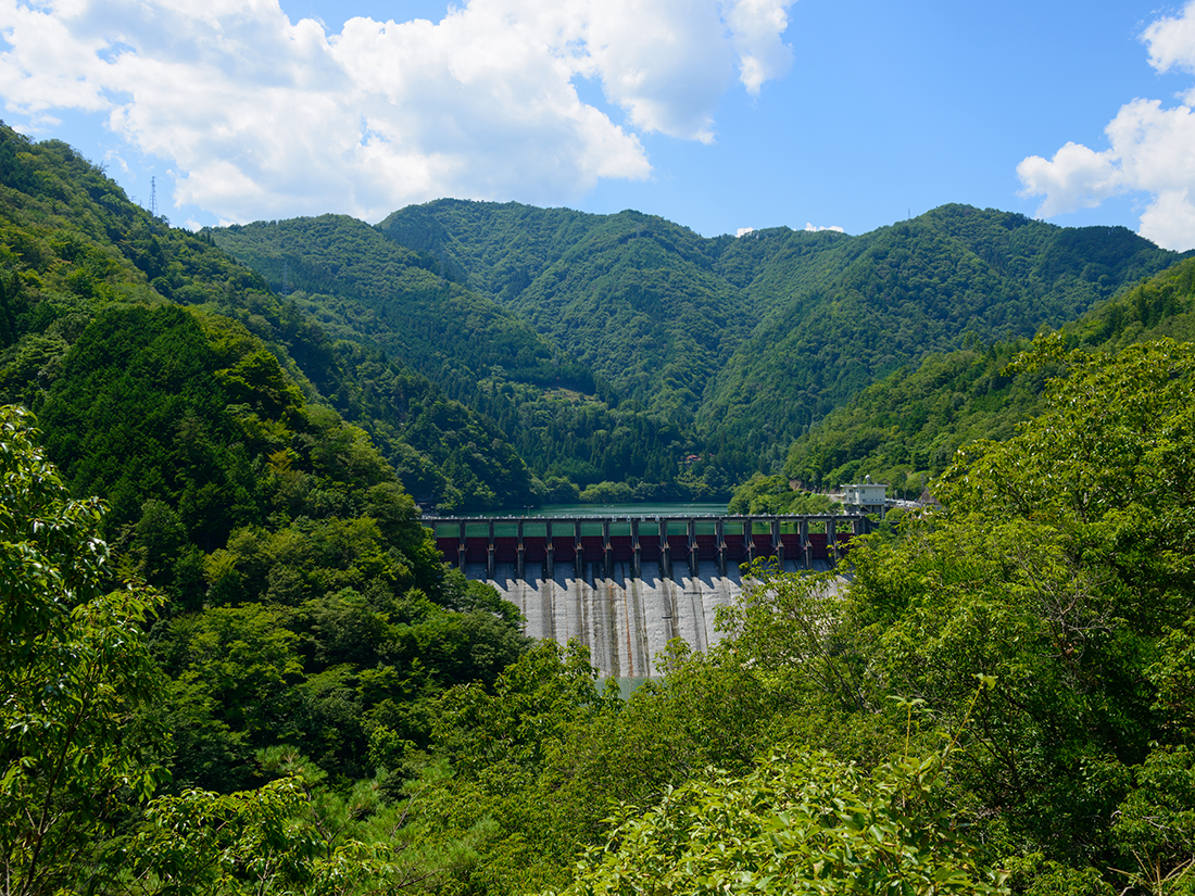 Hydroelectric plant image