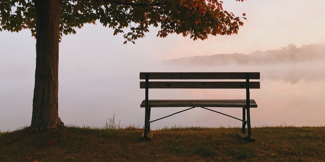 bench overlooking nature