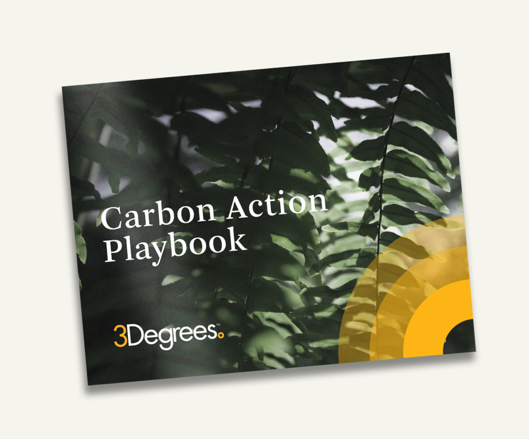 carbon action playbook