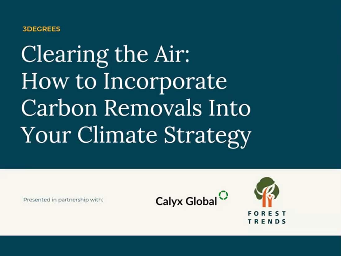 Incorporating Carbon Removals into Your Climate Strategy