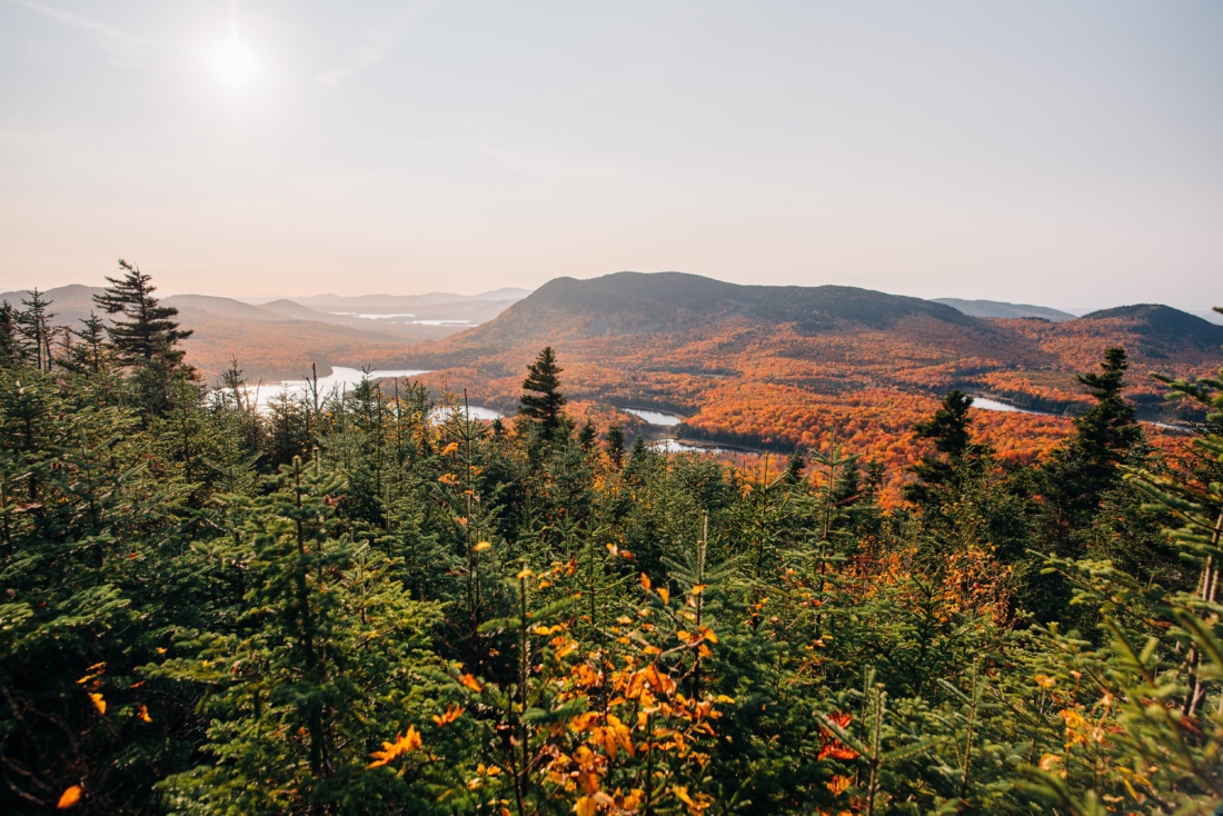 AMC’s carbon project protects 38,000 acres of Maine forest, blending climate action, sustainable forestry, and outdoor recreation for lasting environmental impact.