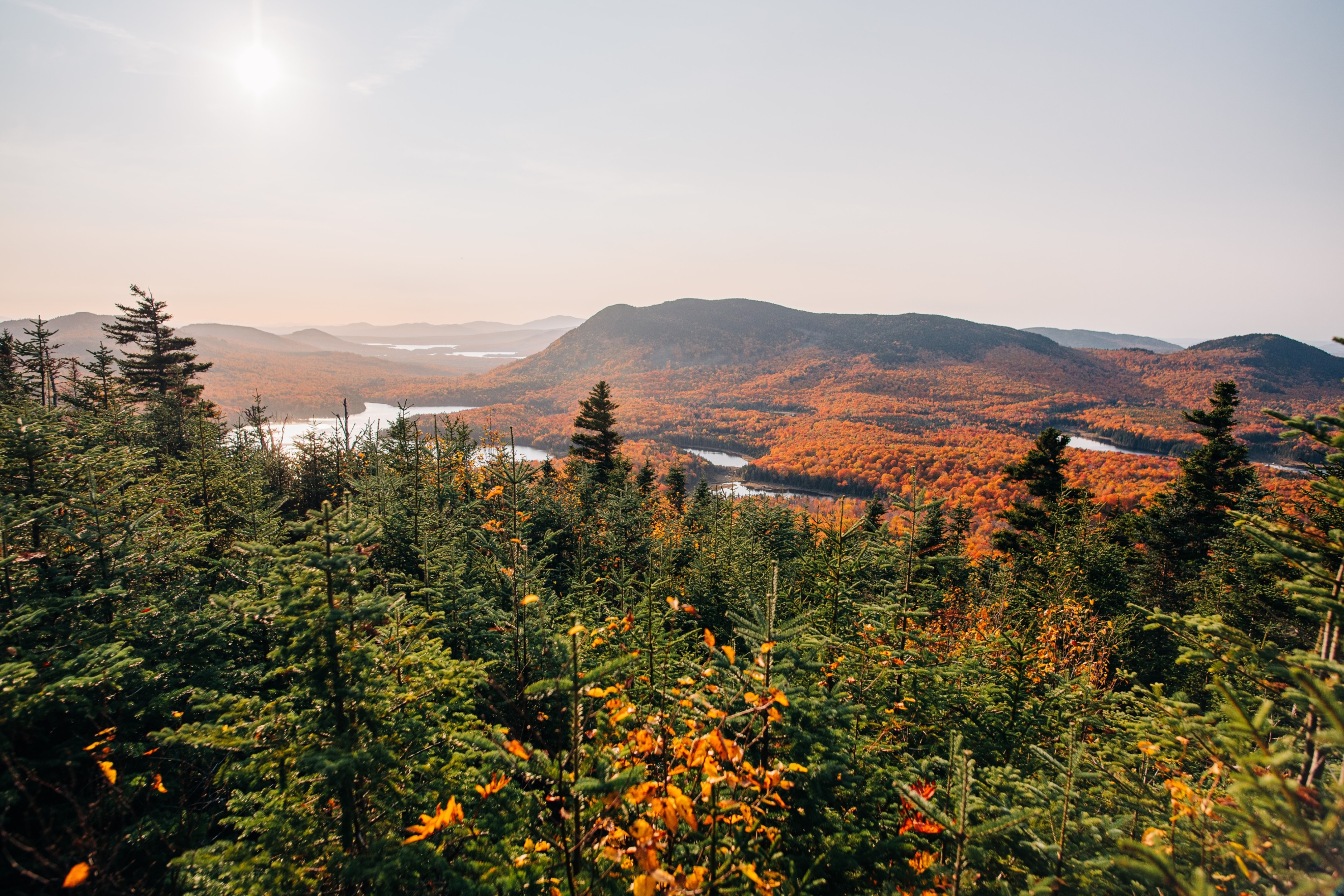 AMC’s carbon project protects 38,000 acres of Maine forest, blending climate action, sustainable forestry, and outdoor recreation for lasting environmental impact.