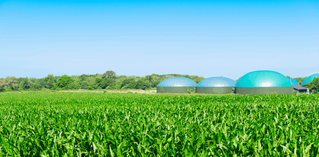 biomethane procurement