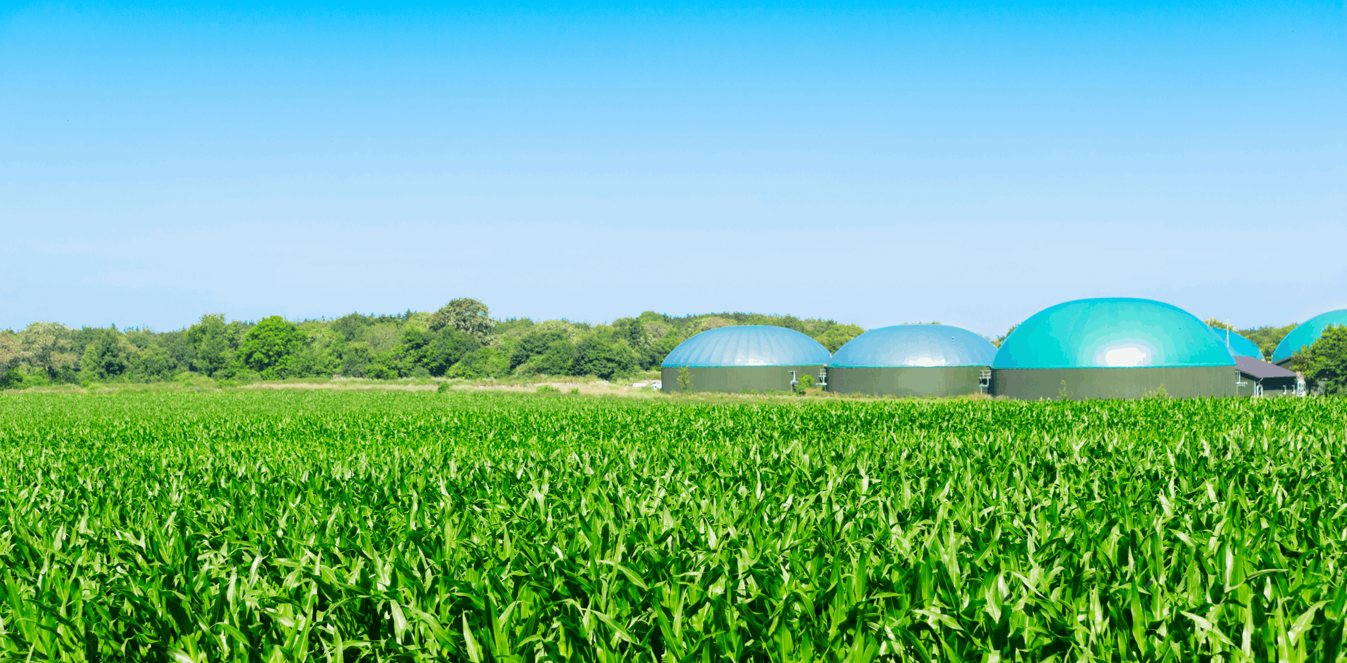 biomethane procurement