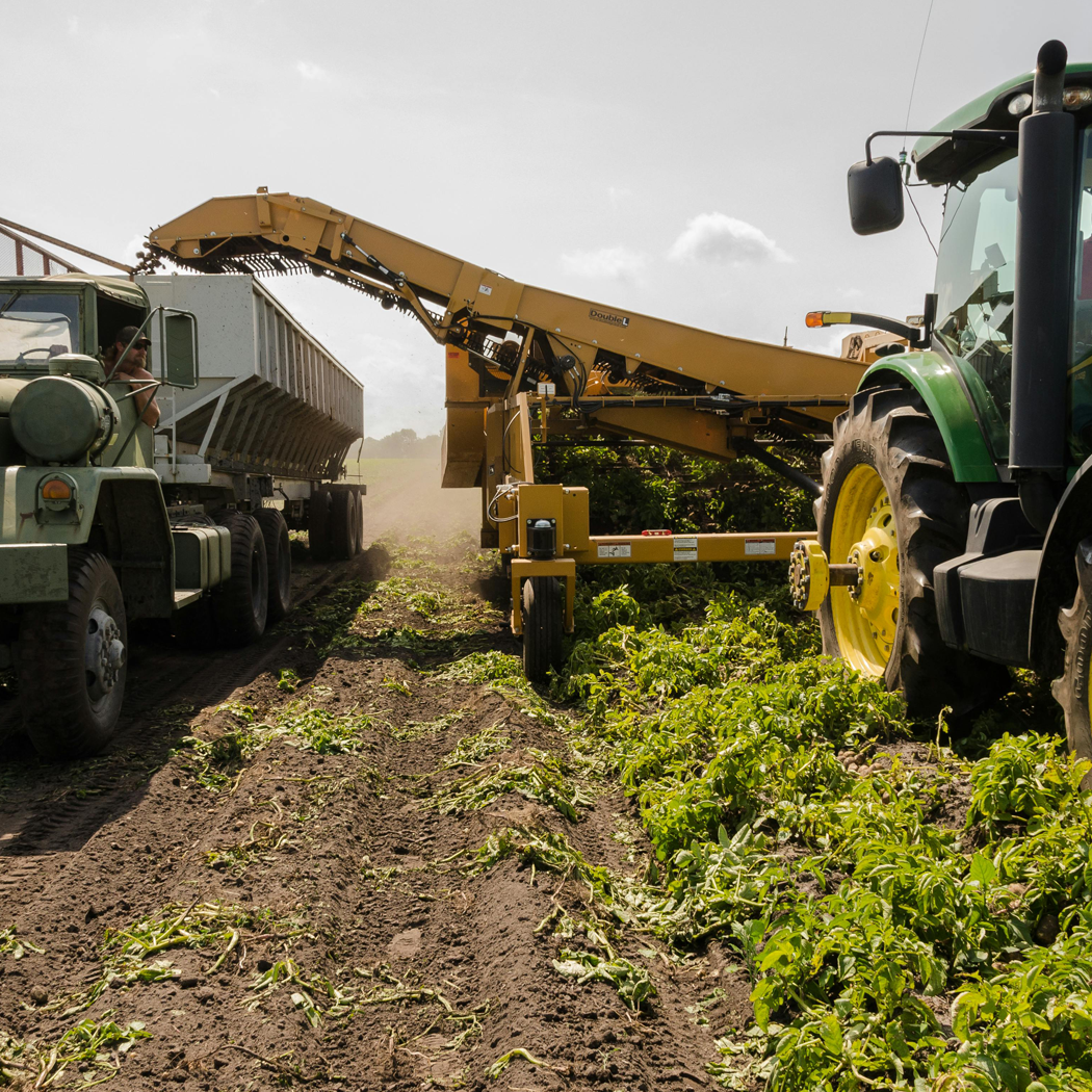 Vehicles on a farm