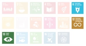 An image highlighting the SDGs for the Central Florida Citrus Project (SDGs 6,12, and 13).