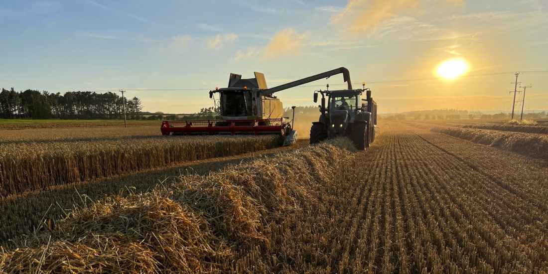 A farmer harvesting their crop, which may become supply chain emissions for another organization.