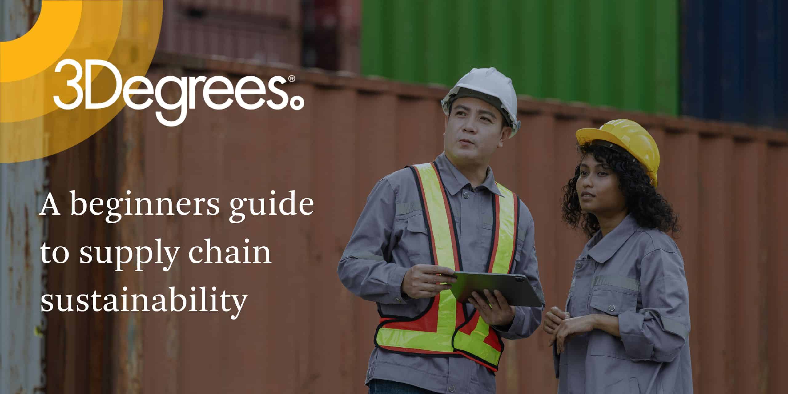 Supply chain professionals discussing supply chain sustainability