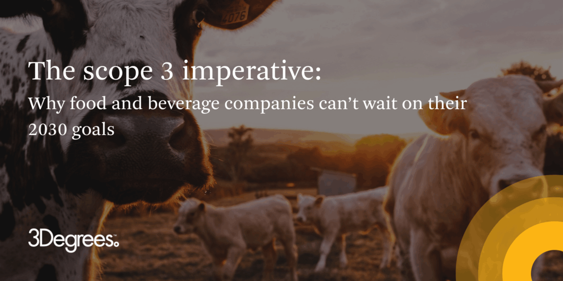 Cows within a food and beverage companies supply chain and scope 3 emissions.