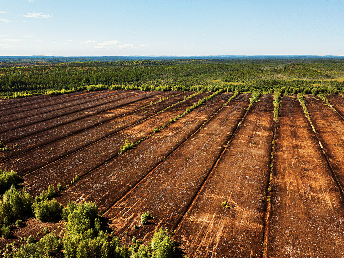 land ready for agriculture