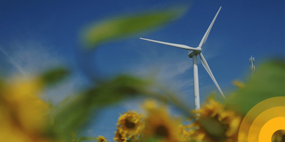 The Science Based Targets initiative (SBTi) recently released its Corporate Net Zero Standard (CNZS) 2.0 on June 11, 2026